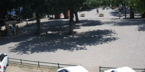 Web-камера парк Поддубного