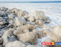 Зимний Ейск. Панорамы