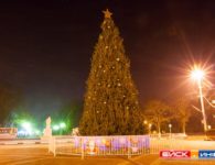 Новогодние елки города Ейска