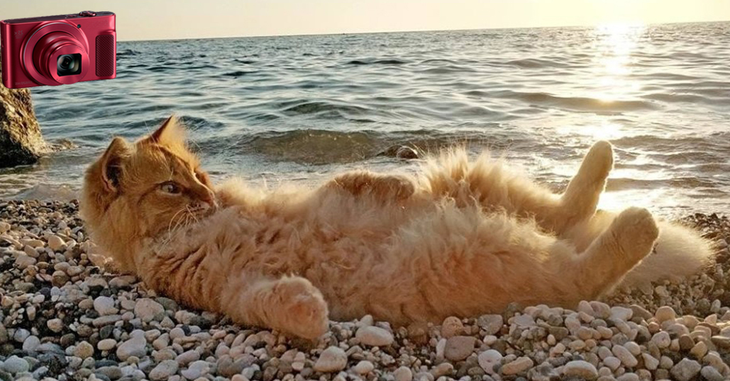 ЕЙСК – КУРОРТНЫЙ И ЖАРКИЙ. Фоторепортаж.
