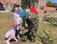 В детском саду № 27 города Ейска состоялась акция «Сирень Победы»
