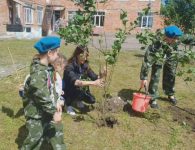 В детском саду № 27 города Ейска состоялась акция «Сирень Победы»