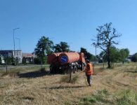 В рамках поручения главы района продолжаются работы по уходу за молодыми деревьями