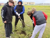 Ейчане приняли участие в акции «Сад Памяти»