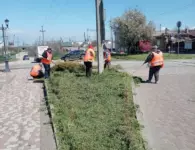 Ейские коммунальщики продолжают работы по наведению санитарного порядка на улицах города