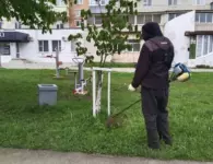 Ейские коммунальщики продолжают работы по наведению санитарного порядка на улицах города