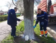 Ейские коммунальщики продолжают работы по наведению санитарного порядка на улицах города