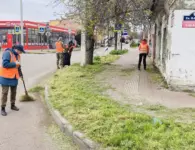 Ейские коммунальщики продолжают работы по наведению санитарного порядка на улицах города