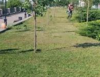 Коммунальные службы Ейска навели порядок в городе перед Последним звонком