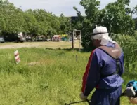Коммунальные службы Ейска навели порядок в городе перед Последним звонком