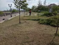 Коммунальные службы Ейска навели порядок в городе перед Последним звонком