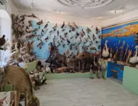 В станице Должанской оценили обновление краеведческого музея