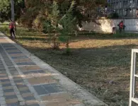 Ейские коммунальщики продолжают наводить порядок в городе