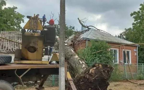 В станице Ясенской убрали дерево, упавшее на частное домовладение