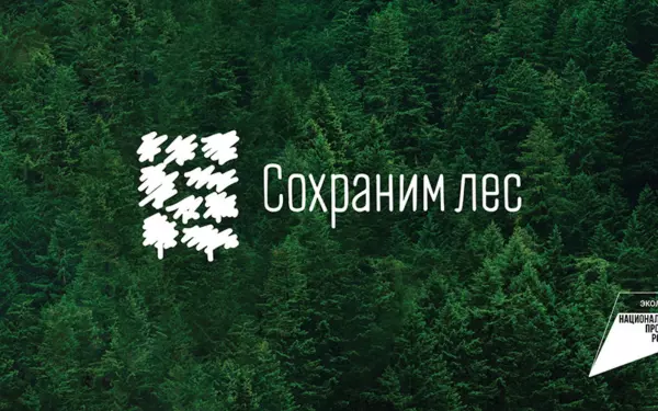 Ейский район присоединится к осенней акции «Сохраним лес»