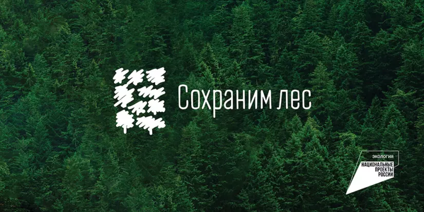 Ейский район присоединится к осенней акции «Сохраним лес»