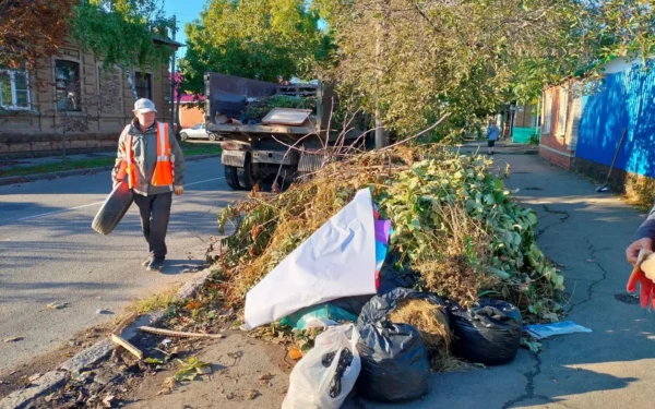 В Ейске продолжают убирать стихийные свалки и косить сорную растительность