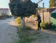 В Ейске продолжают убирать стихийные свалки и косить сорную растительность