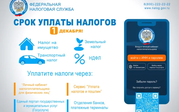 Налоговая начала рассылать уведомления: заплатить налоги нужно до 1 декабря
