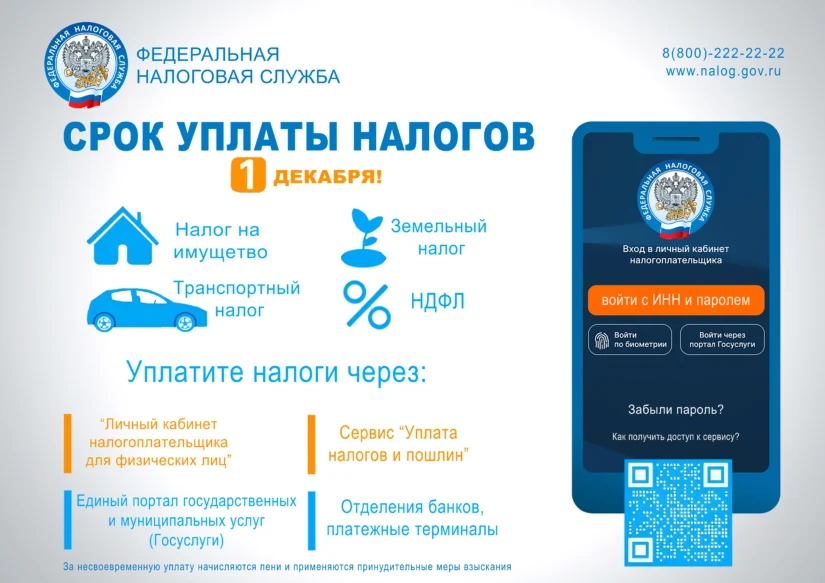 Налоговая начала рассылать уведомления: заплатить налоги нужно до 1 декабря